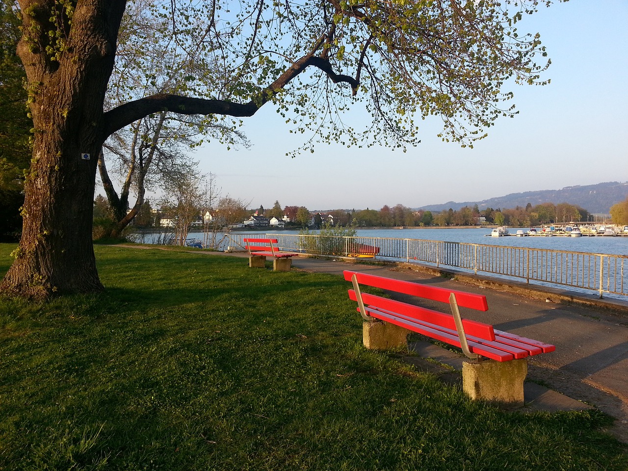 领先优势 领先优势