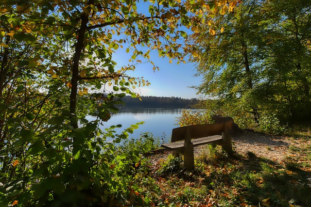 英国对法国 英国对法国