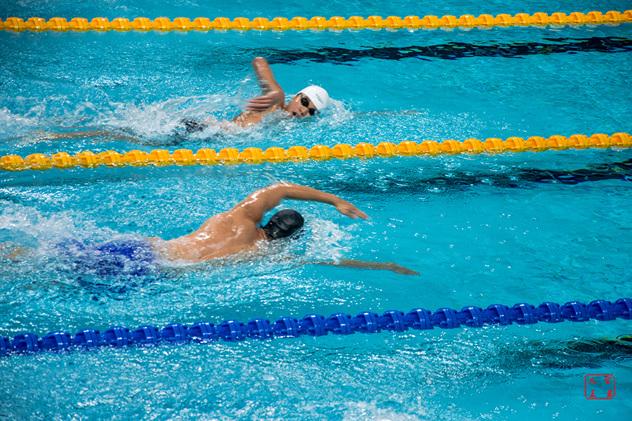 联盟顶级单 联盟顶级单