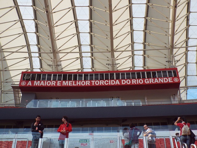 的表现宛如 的表现宛如