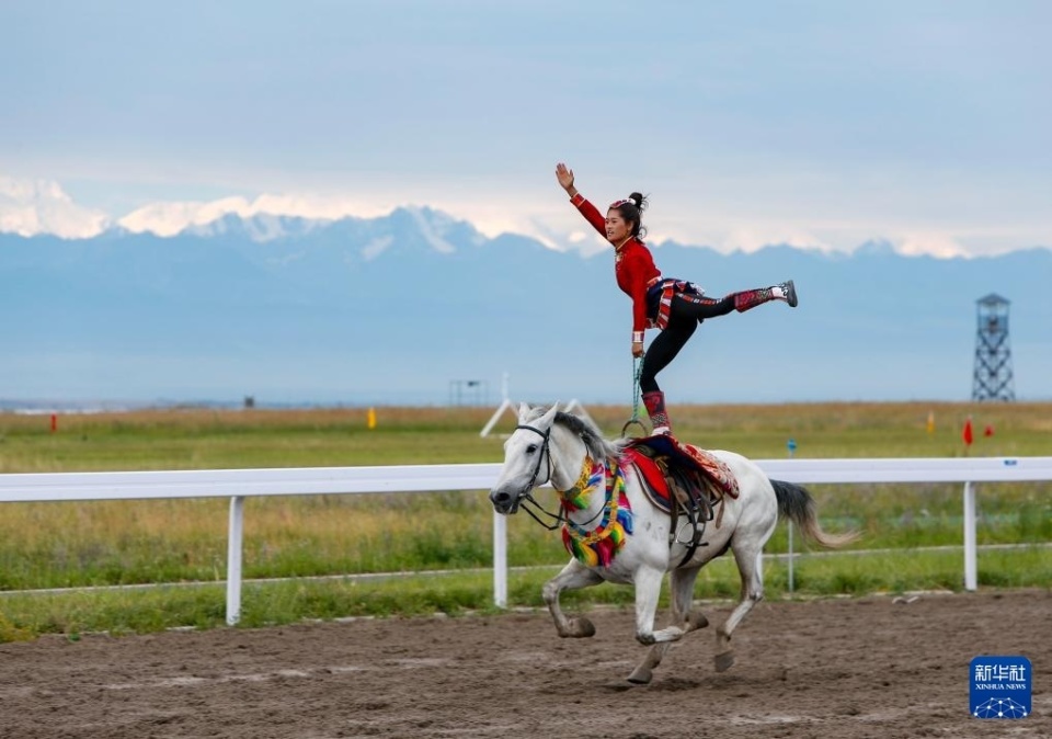 队终极对决 队终极对决